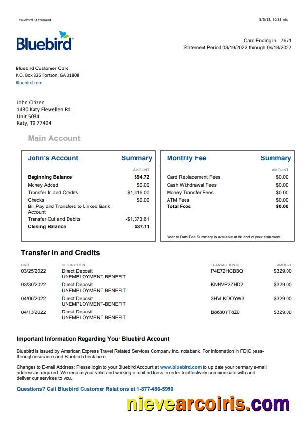 USA Bluebird bank statement